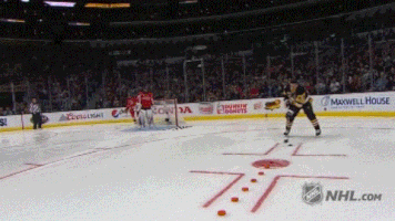 pittsburgh penguins GIF by NHL