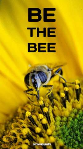 c2noyw1wbwljagvsqgdtywlslmnvbq animation text flower video GIF