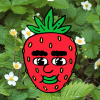 strawberry GIF by Grace Lee