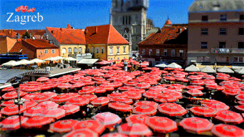 zagrebtourist market zagreb dolac GIF
