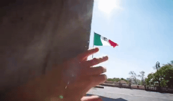 Viva Mexico Flag GIF by México