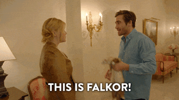 This Is Falkor Comedy Central GIF by Inside Amy Schumer
