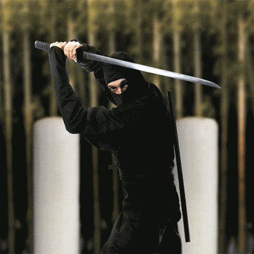 Image result for ninja gif