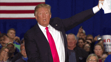 donald trump election GIF by NowThis 
