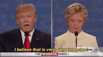 I Believe That Is Very Very Important Donald Trump GIF by Election 2016
