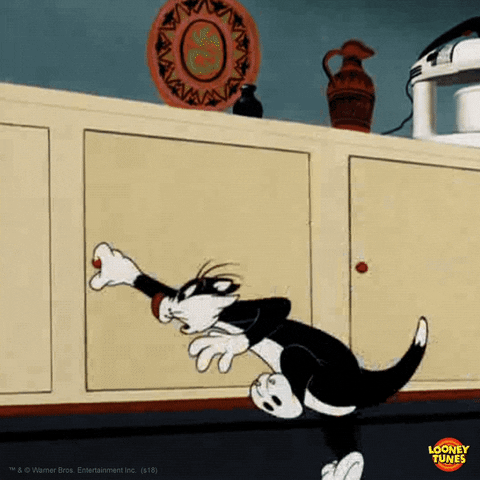 Cartoon gif. Sylvester the Cat in Looney Tunes opens a series of cupboards, slamming each one closed again when he finds it empty.