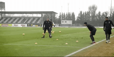 Juventus Goalkeeper GIF