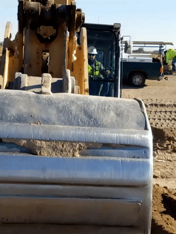 discontent  GIF