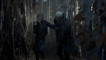 aos-brasil  GIF