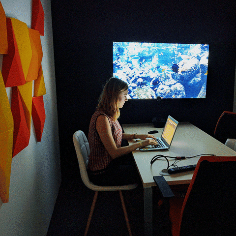 Office Makeover GIF by RST IT Software Company
