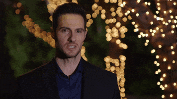 bachelor in paradise love GIF by WE tv