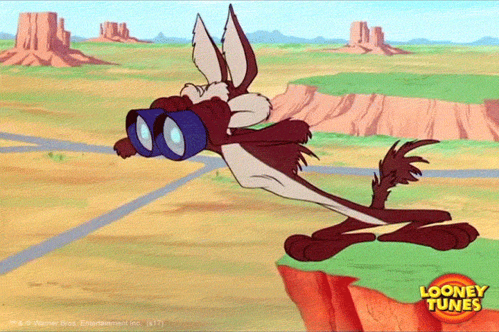 Confused Wile E Coyote GIF by Looney Tunes - Find & Share on GIPHY