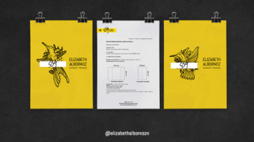 elizabethalbornozn #manual #brand #marca #elizabethalbornoz #diseÃ±adoramexicana GIF