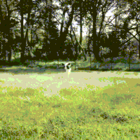 i love you moo cow GIF