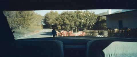 200.gif?cid=fc005b088440a983bed15daf4f5fe776cfa872ee932e86ab&rid=200.gif&ct=g