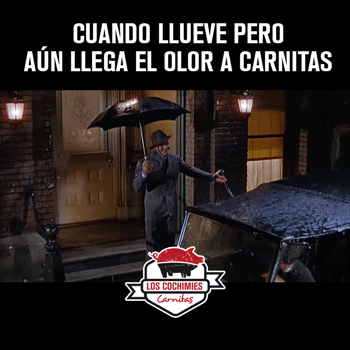 miguel__pixel carnitas lloviendo cochimies GIF