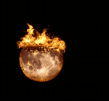 Jinx2014  GIF