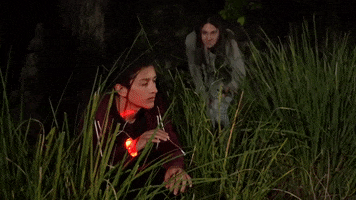 Wizards Werewolves GIF