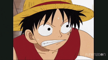 beat up one piece GIF by Funimation
