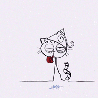 Happy Birthday Cat Gifs Get The Best Gif On Giphy