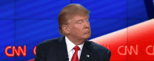 Donald Trump Whatever GIF by Mashable