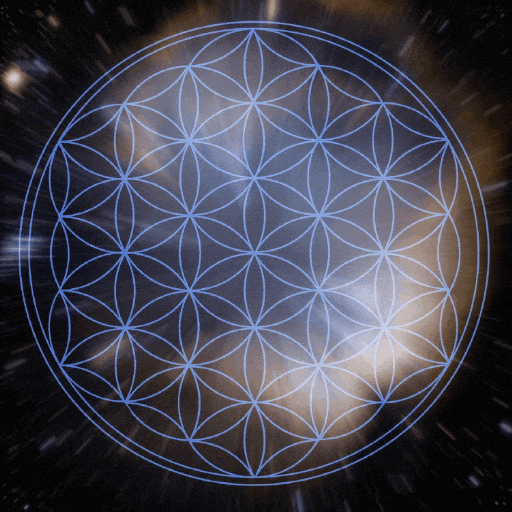 Flower Of Life GIFs - Find & Share on GIPHY
