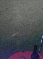 giphy.gif?cid=790b7611a9a2c1b92865f89ac1e2d96b5495e602898f8d7c&rid=giphy.gif