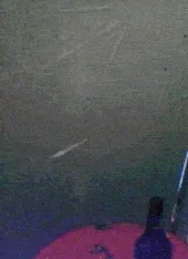 Drinking Beer Lol GIF by America's Funniest Home Videos