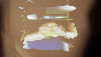 pizzafeelings jcc GIF