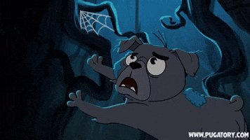 scared puppy GIF by Pugatory