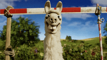 pop up llama GIF by Shaun the Sheep