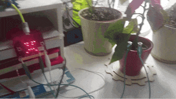 elenilixourioti python microbit micro:bit GIF