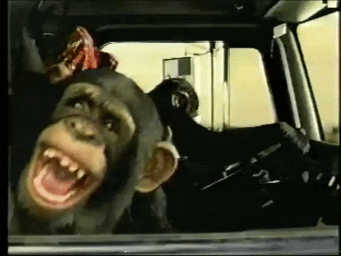 https://media3.giphy.com/media/26tPo9rksWnfPo4HS/giphy.gif?cid=790b76116776a9d55b7cf434bd8e05a44df0cfb705937781&rid=giphy.gif
