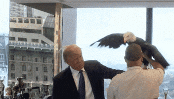 jepmend donald trump shba lajme nga bota GIF