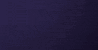 sonysantamonica  GIF