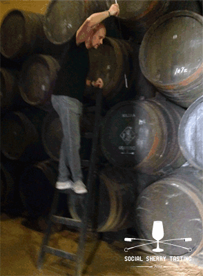 th  GIF
