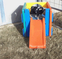 Fail Falling Down GIF by America's Funniest Home Videos