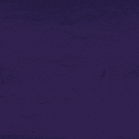 200.gif?cid=fc005b08f72ca5414f43fe0745280f9d6d050bbebabf883c&rid=200.gif&ct=g