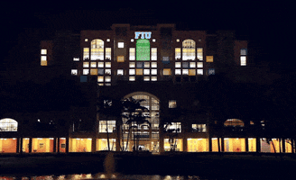miami fiulibrary GIF by FIU