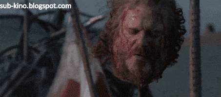 finnfinn  GIF