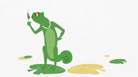 Yellow And Green GIFs - Get the best GIF on GIPHY