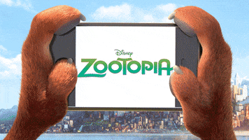 maxslutcher online zootopia zootopia 2016 GIF