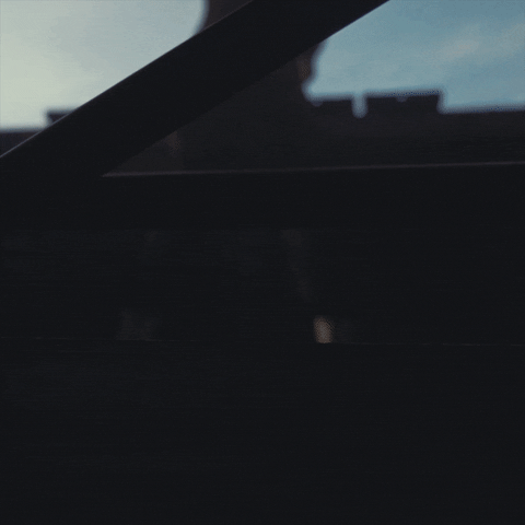blind  GIF