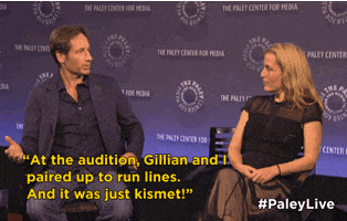 gillian anderson reunion GIF by The Paley Center for Media
