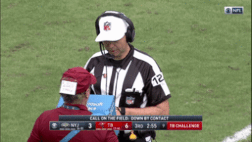 replay guy GIF by NFL