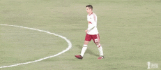 playoffs clap hands GIF by NYRB II