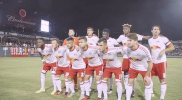 playoffs teampicture GIF by NYRB II