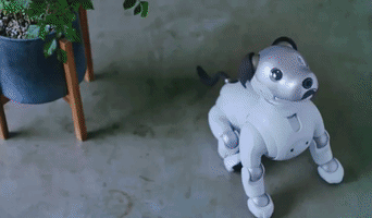 Aibo #Robot #Sony GIF