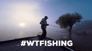 GIF by Spiderwire