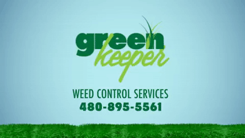 jamesbitter weeds in your grass GIF